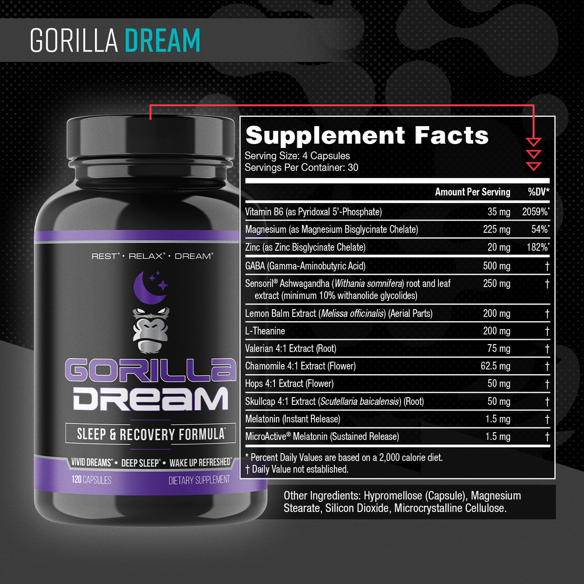 Gorilla Dream