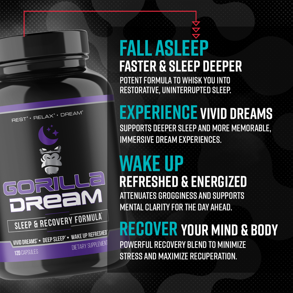 Gorilla Dream